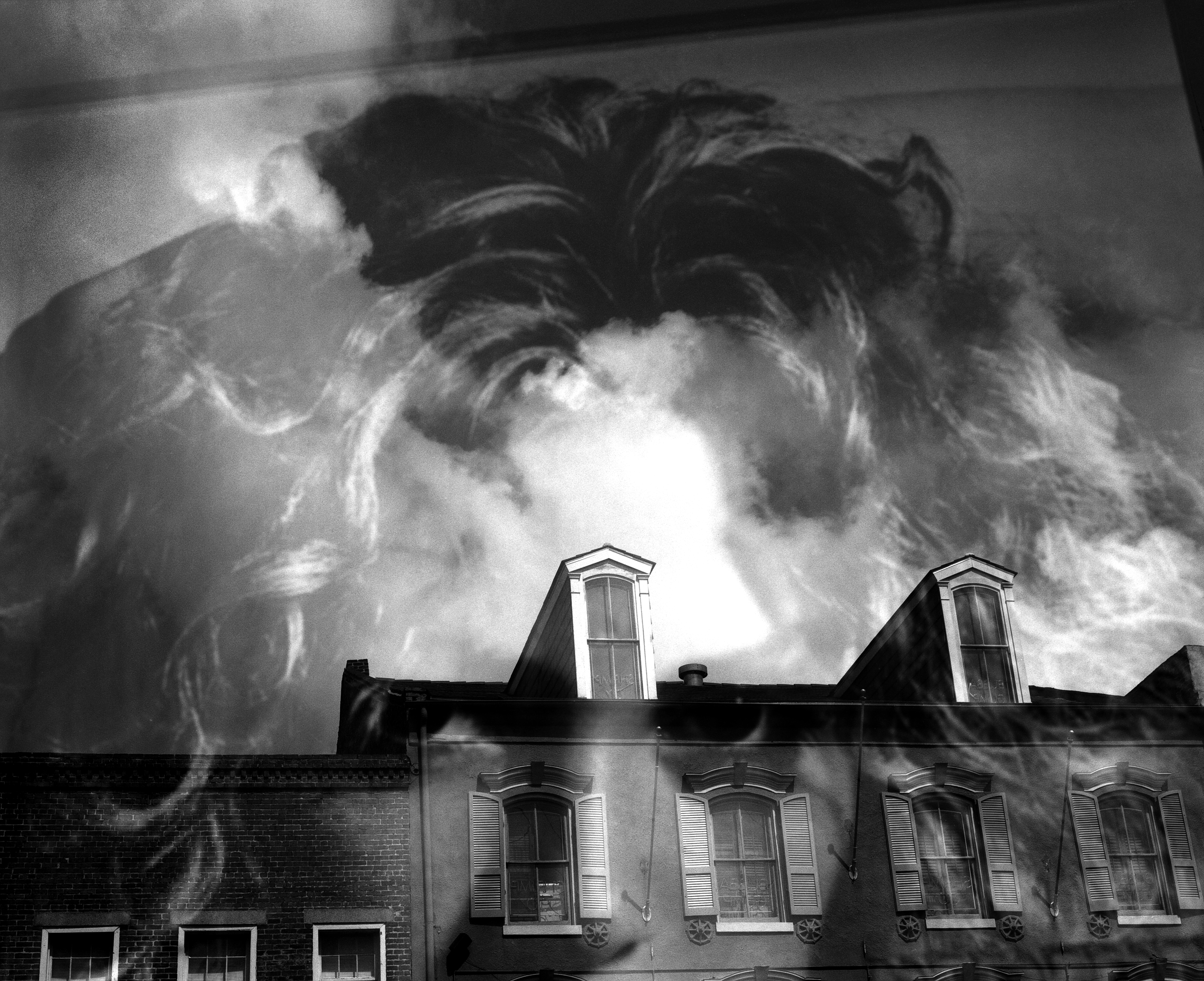 New Orleans Window